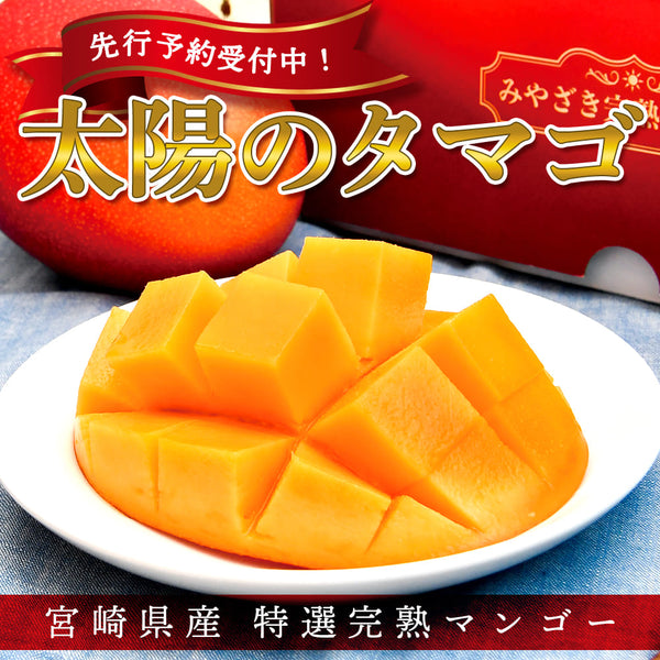【特別価格】<br>最上級完熟マンゴー<br>「太陽のタマゴ」