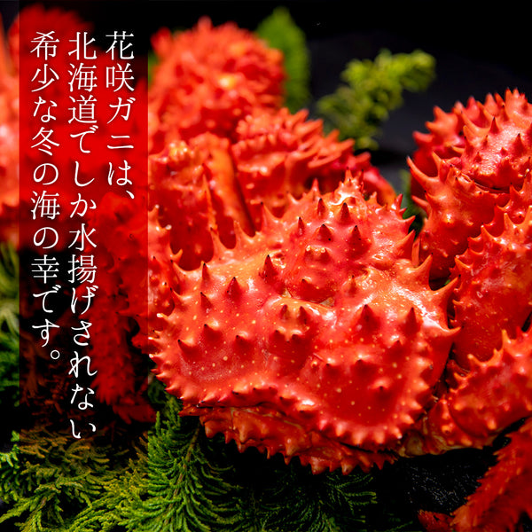 【1月15日より順次発送】北海道：根室周辺でしかとれない希少なカニ！<br>花咲ガニの甲羅盛り