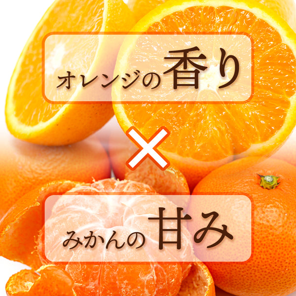 【12月発送】人気急上昇中の柑橘 愛媛県産はれひめ