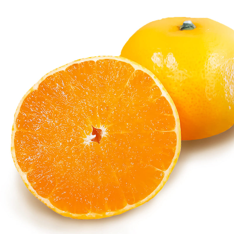 –　2月発送】柑橘界の最高峰　愛媛県産せとか　日本おいしいものづくし研究所